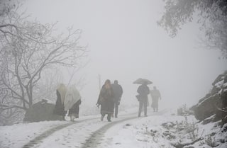 Higher Reaches of Kashmir Receive Fresh Snowfall; Gulmarg Shivers at -6 Degree Celsius