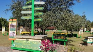 Chandigarh to get another landmark 'Museum of Trees' on Guru Nanak Jayanti