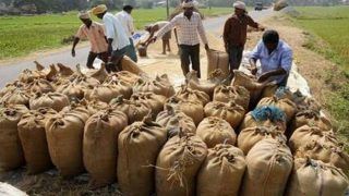 हरियाणा सरकार ने अन्य राज्यों से धान खरीद पर लगाई रोक, यूपी के किसानों में फूटा गुस्सा