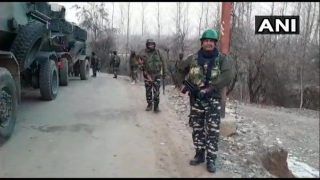 Jammu and Kashmir: 2 Militants Killed in Encounter in Shopian district