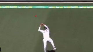 India vs Australia Adelaide Test Day 2: लाबुशेन का कैच छोड़ने पर Prithvi Shaw पर भड़के कप्तान कोहली