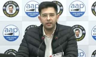 Not 'Udta, But Uthta Punjab' From Now On: AAP's Raghav Chadha on Party's Win in Punjab