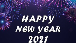 Happy New Year 2021 Resolutions: Best Quotes to Begin Your Year With Motivation And Full Zeal