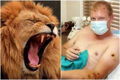 Wait, What? Man Punches a Starving Lion in The Face as It Tries to Eat Him in Botswana!