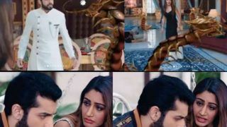 Naagin 5 January 16 Episode Written Update: Farishta Attacks Veer And Bani, Will They Die?