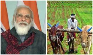 PM Kisan Yojana: 14 मई को आएगी पीएम किसान की 8वीं किस्त, लिस्ट में ऐसे देखें अपना नाम