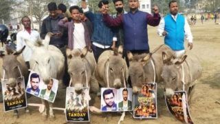 'Donkey March' Against Tandav Organised in Patna, Placards Saying 'Hindu Virodhi' Hanged Around Their Necks