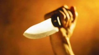 Mother Beheads Her 13-month-old Baby, Kills Self in UP's Bulandshahr