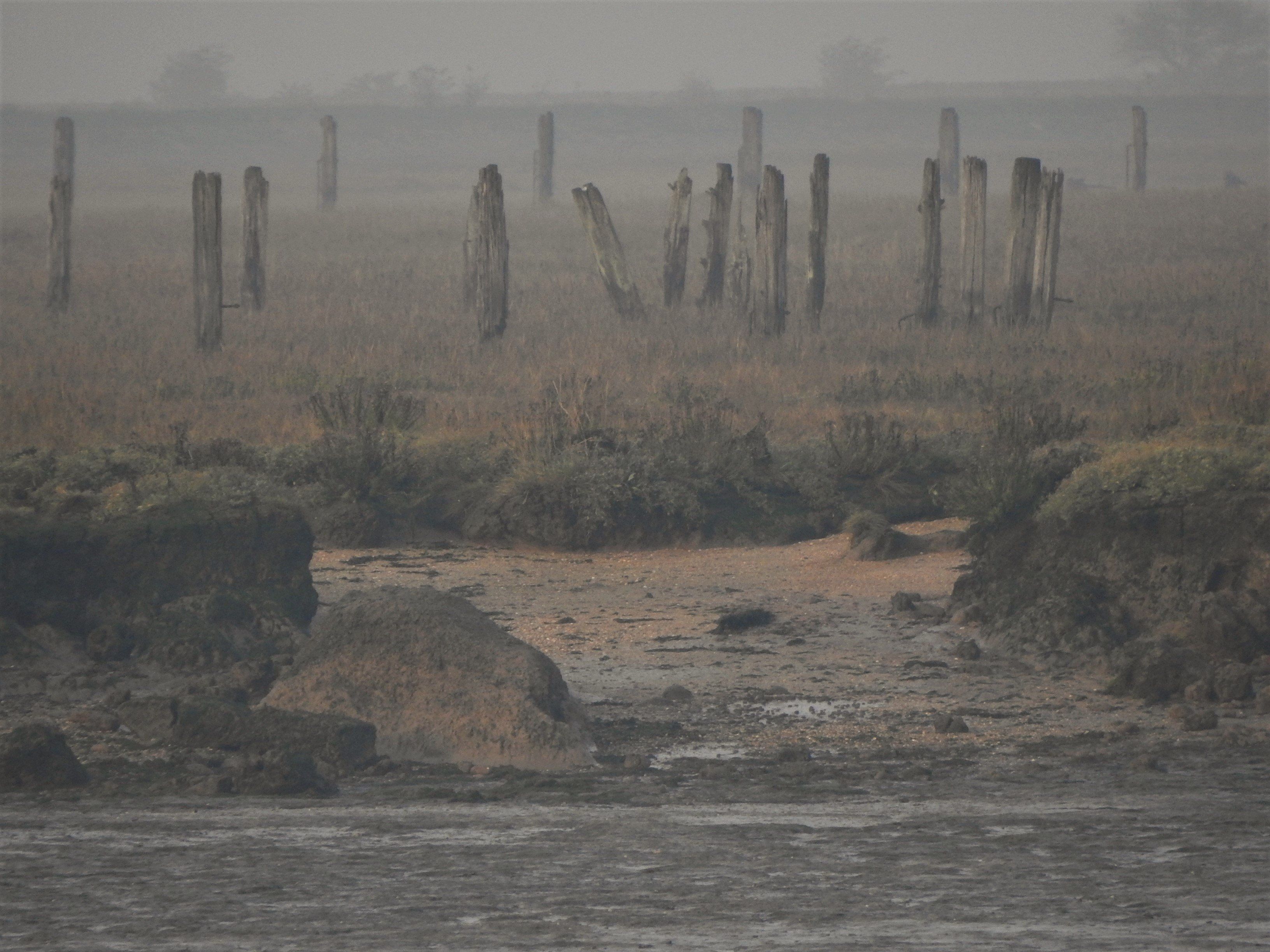Creepy Little Island With Ancient Human Remains And Coffins Found In Uk India Com