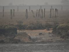 Creepy Little Island with Ancient Human Remains and Coffins Found in UK