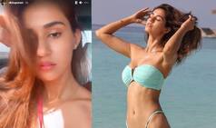 Disha Patani Viral Photos: धोखेबाज निकलीं दिशा पटानी! शर्माते हुए एक्ट्रेस ने खुद बताया किसे दिया धोखा