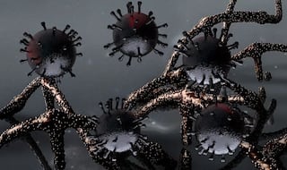 New Mutant Coronavirus: 8 Maharashtra Districts Have Sent Samples For Testing