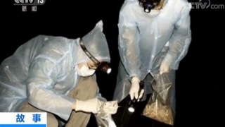 'We Were Bitten by Coronavirus Infected Bats': Wuhan Scientists Make Startling Revelation in a 2017 Video