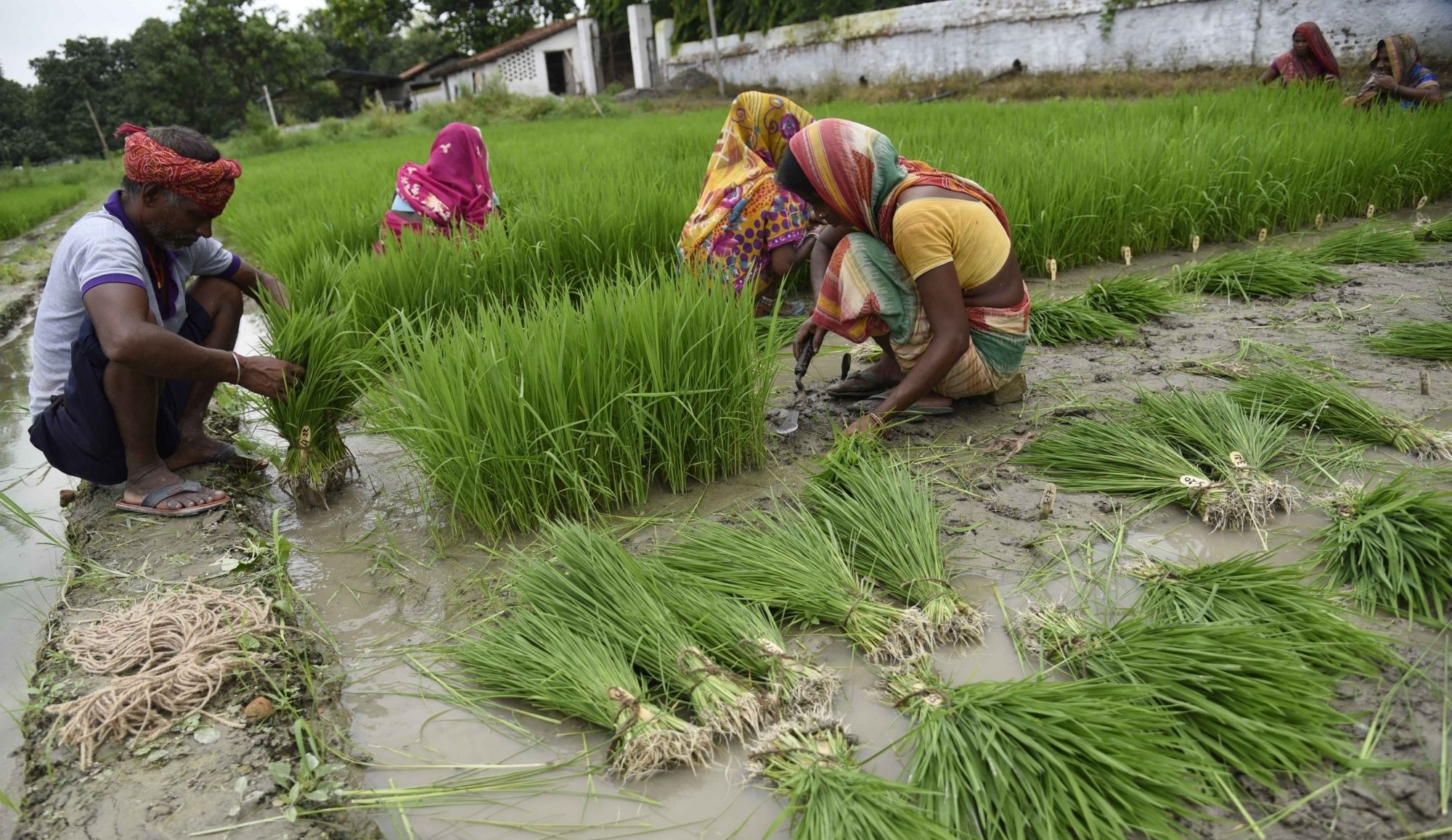 PM Kisan Samman Nidhi Yojana: Rs 75,000 Crore Allocated For Farmers | Quick Recap Budget 2021