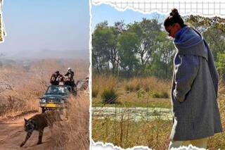 Deepika Padukone Closely Captures Tiger Crossing Path in Ranthambore National Park- Watch