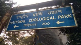 Delhi Zoo to Repen From August 1 in 2 Shifts. Timings And Other Details Inside