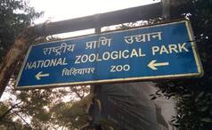 Delhi Zoo to Repen From August 1 in 2 Shifts. Timings And Other Details Inside