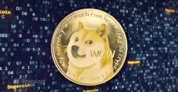 Dogecoin Gets Support From Elon Musk as Price of The Cryptocurrency Surges Above 50%