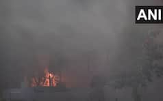Dense Fog Engulfs Delhi-NCR, Severe Cold Wave Sweeps The Region