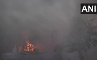 Dense Fog Engulfs Delhi-NCR, Severe Cold Wave Sweeps The Region