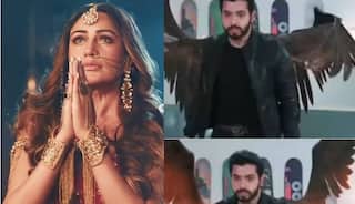 Naagin 5 Written Update, January 3, 2021: Veer Gets His Superpowers Back; Jay Kills Markat