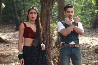 Naagin 5 Written Update, January 2, 2021: Jay Plans With Markat to Kill Veeranshu