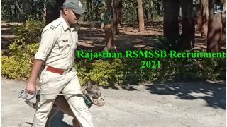 Rajasthan RSMSSB Recruitment 2021: राजस्थान कर्मचारी चयन बोर्ड फॉरेस्ट गार्ड, फॉरेस्टर के लिए आवेदन करने की बढ़ाई डेट, 10वीं, 12वीं पास करें अप्लाई 