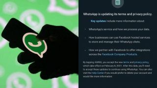 Featured image of post Is The New Whatsapp Update Safe - Hopefully, your phone automatically has updated whatsapp in the background, but since some of us keep automatic app updates disabled, that might.