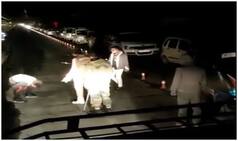 Atal Tunnel में पुलिसकर्मियों ने की शख्स की पिटाई, VIDEO वायरल होने के बाद जांच के आदेश