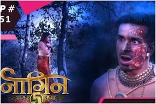 Naagin 5 January 31, 2021, Written Episode: Bani And Jay Fight For Their Lives, But Who Will Win?