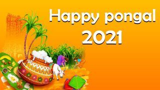 Pongal 2021: Top Wishes, Quotes, Whatsapp Greetings, SMS To Share With Your Family and Friends