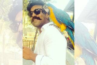 Ram Charan Finally Tests Negative For COVID-19 And Is 'Back in Action' | See IG Post