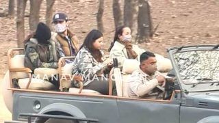 Ranbir Kapoor-Alia Bhatt go For a Wildlife Safari in Ranthambore, Here's The Latest Viral Picture