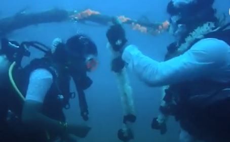 Image result for A wonderful couple who got married in the 60 feet deep sea