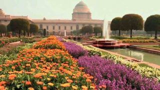 Rashtrapati Bhavan and Rashtrapati Bhavan Museum Complex to Re-Open for Public Viewing from This Date | Details Here