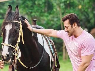 Fraudsters Offer to Sell Horse Owned by Salman Khan, Dupe Jodhpur Woman of Rs 12 Lakh!