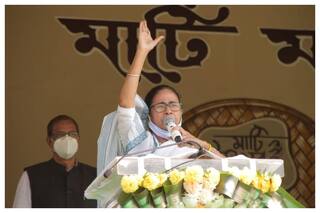 Ahead of Bengal Polls, Mamata Banerjee Launches Affordable Food Scheme; Price Per Meal Just Rs 5