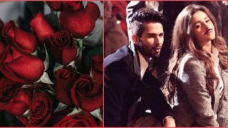 Happy Rose Day 2021: 'बहारों फूल बरसाओ' से लेकर 'Gulaabo' तक, रोज डे पर अपने प्यार के साथ सुनें ये गानें