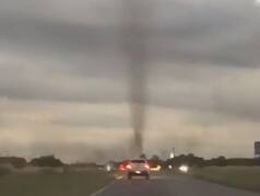 Thousands of Mosquitoes Swarm Together To Form Tornado In Argentina. Watch Viral Video