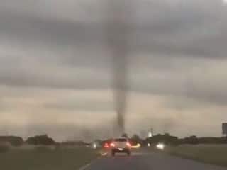 Thousands of Mosquitoes Swarm Together To Form Tornado In Argentina. Watch Viral Video