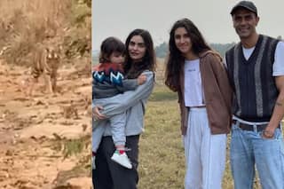 अर्जुन रामपाल परिवार संग पहुंचे Satpura Wildlife Reserve, टाइगर से हो गया सामना फिर... See Viral Video