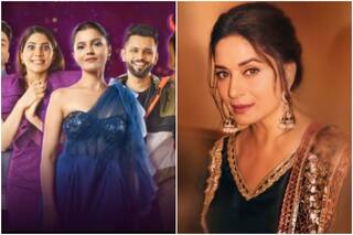 Bigg Boss 14 Grand Finale: Madhuri Dixit to Evict One Finalist - Your Guess?