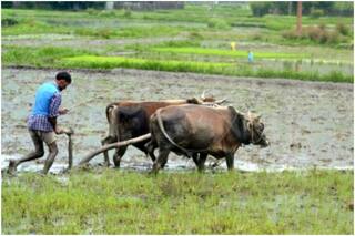 Kisan Credit Card : किसान क्रेडिट कार्ड के लिए कौन है पात्र, क्या मिलता है लाभ और कैसे करें ऑफ़लाइन आवेदन, जानें- यहां
