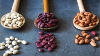 Power Up Your Diet With Pulses And Legumes, a Highly Nutritious Food
