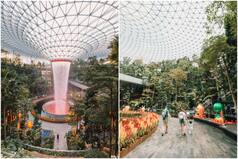 Singapore's Changi Airport Pics: Inside World's Best Airport With Largest Indoor Waterfall