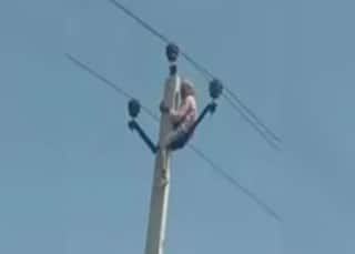 Viral Photos: 5 जवान बच्चे, उम्र 60 साल, पहली बीवी जिंदा पर दूसरी शादी के लिए बिजली के खंभे पर चढ़ा...