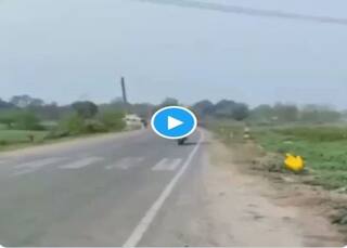 Bike Stunt Video: बाइक पर खतरनाक स्टंट कर रहा था लड़का, बैलेंस बिगड़ा और...