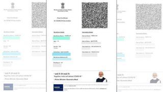 PM Modi's Photo On Covid Vaccine Certificate: आप प्रधानमंत्री से शर्मिंदा क्यों हैं? कोर्ट ने याचिकाकर्ता से पूछा प्रश्न