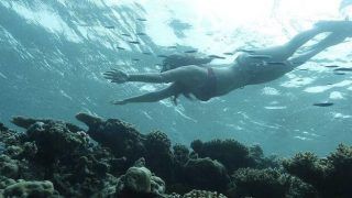 मालदीव में छुट्टियां मना रही हैं Krishna Shroff, समुद्र में मछलियों संग की स्विमिंग...Viral हुए Video और Photos