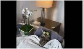 Spa Taking Cat Viral Video:  रिलेक्स होकर स्पा का मजा ले रही थी बिल्ली, महिला के छेड़ते ही गुस्से में किया कुछ ऐसा कि...